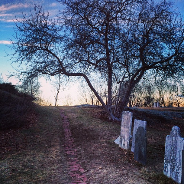 365daysofhorror:  365daysofhorror:  Photos from the cemetery used in Hocus Pocus.