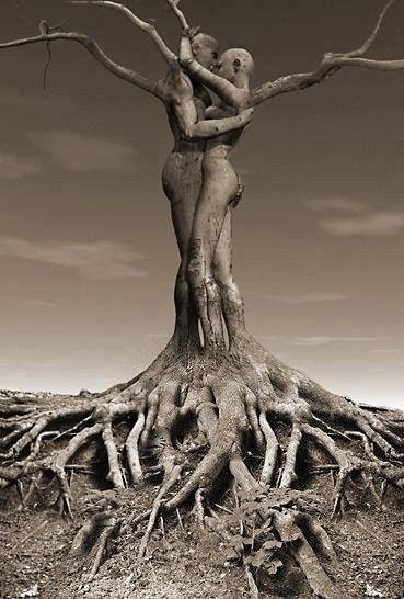 imsissyslave: masterkarios: Grow roots, and you will blossom.  Being rooted to Masterkarios is most 