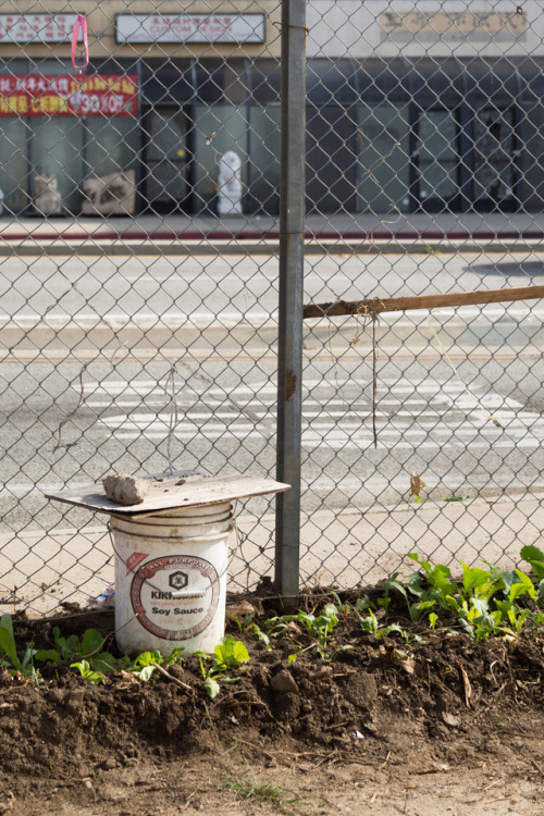 The Secrets Gardens of Los Angeles’ Chinatown Location: Los AngelesLos Angeles’s Chinato
