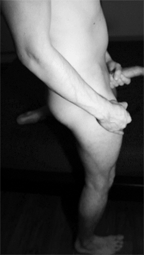 Excellent Cock-Tails