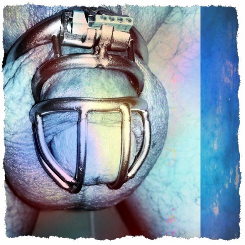 chastechron:  Locktober, indeed! Got a new cage for my birthday.. it’s still a cheap knockoff,