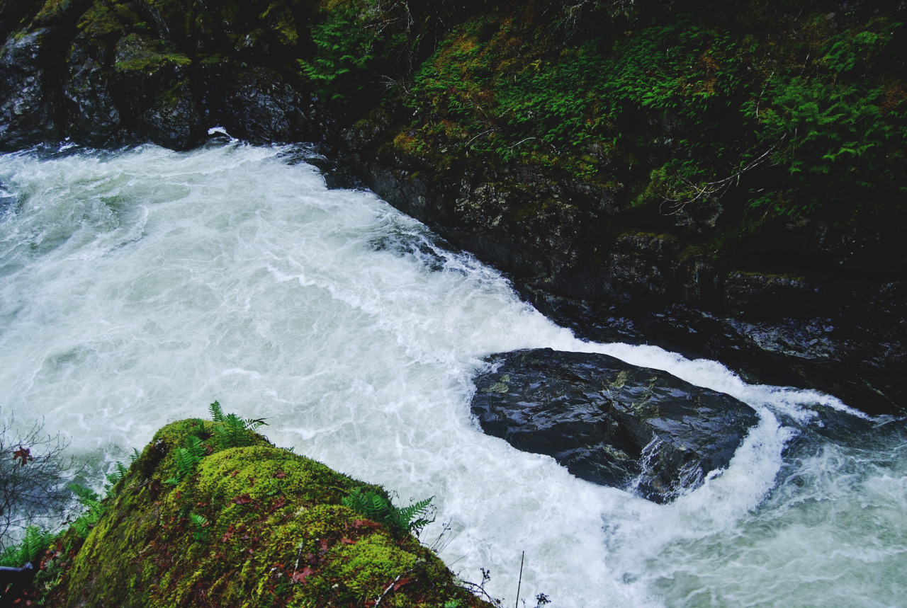 tuaari:  Sooke Potholes - January 2016