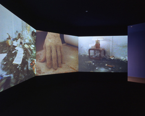 voltra:  Doug Aitken, Blow Debris, 2000
