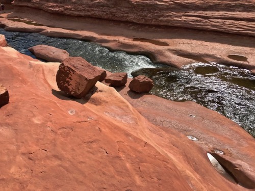 thelostcanyon: Oak Creek flowing through a red rock chute at Slide Rock State Park, Arizona.