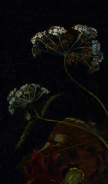 clara–lux:OOSTERWIJCK, Maria van (1630–1693)Bouquet of Flowers in a Vase, detailscirca 1670Oil on ca