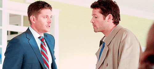 constiellation: Favourite Dean/Cas moments ~ 8x08 “Hunteri Heroici”“What? I
