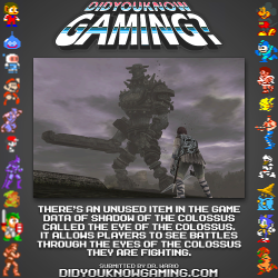 didyouknowgaming:  Shadow of the Colossus.