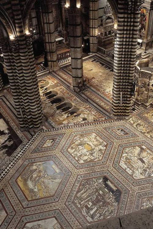 legendary-scholar:  Italy, Siena (Tuscany) - The marvelous floor of the Duomo.