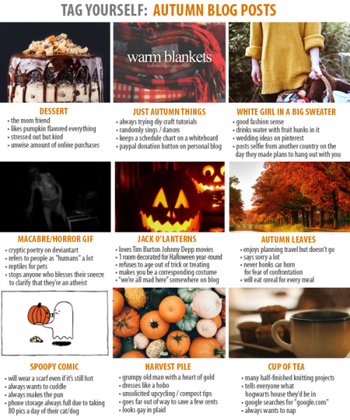 ginormouspotato:  thegestianpoet:  halloweentreat:  tag yourself I’m the harvest pile  i’m literally white girl in a big sweater   jack o lantern + dessert is very me 
