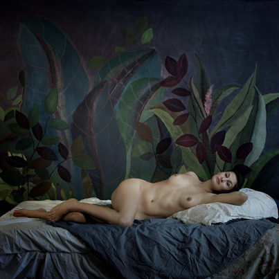 androphilia:  The Other Landscape by Laura Garcia Serventi, 2010-2013 