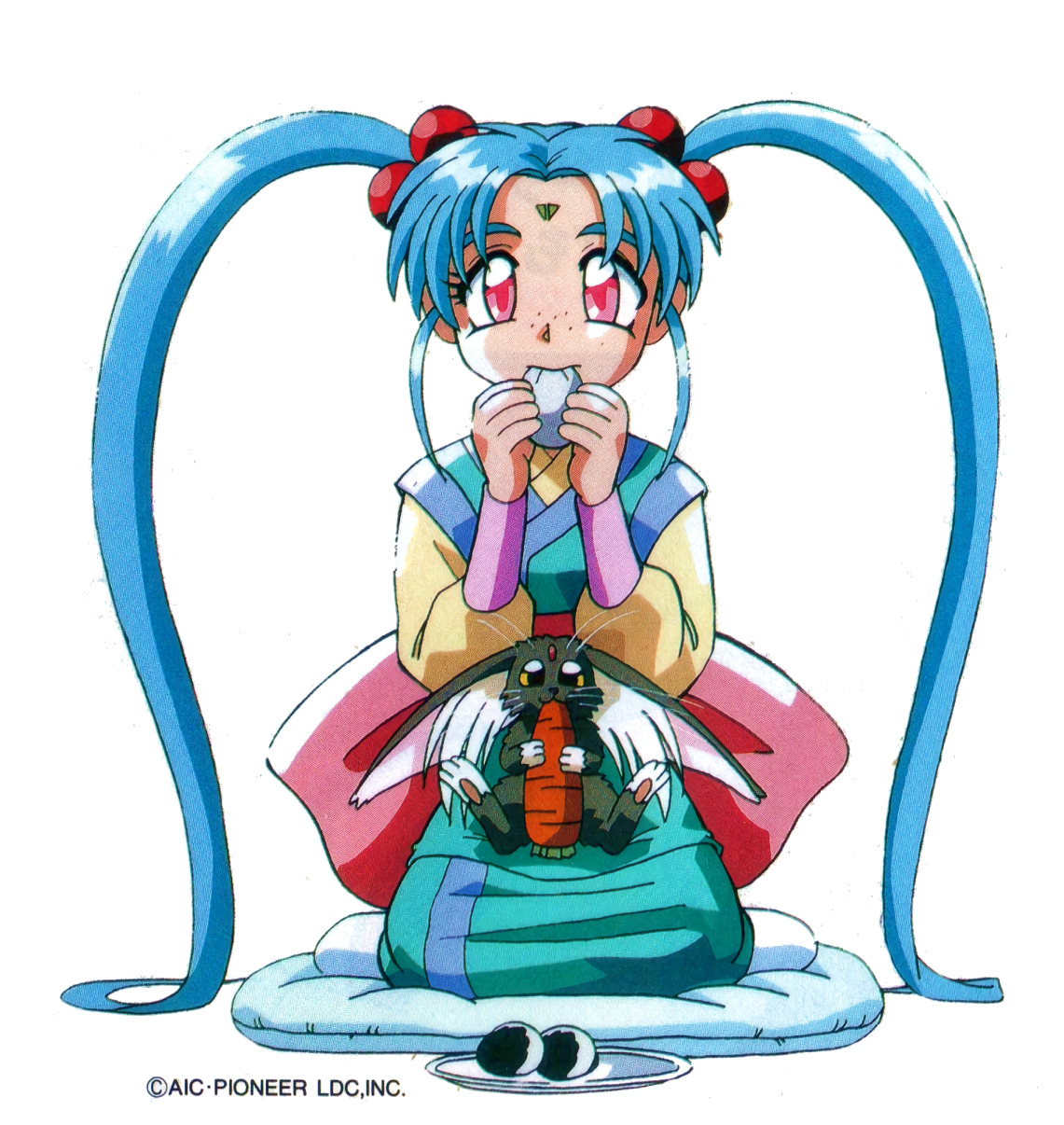Sasami tenchi