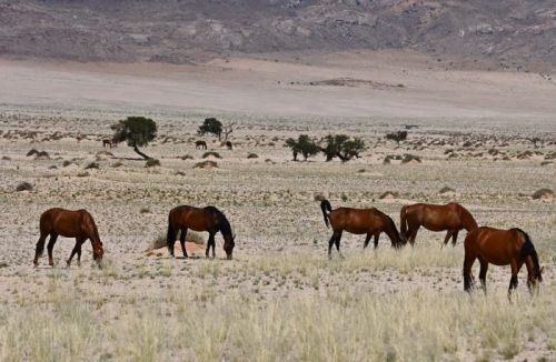Namibia 2023/24 - Tag 12