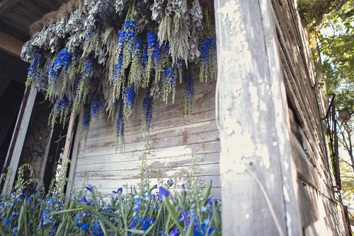 itscolossal:  Three-Dozen Floral Designers Transform a Condemned Detroit Duplex with 36,000 Flowers 