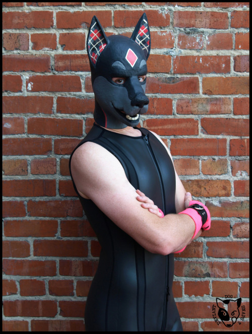 puppy-apollo:  deviantdogsnaps:Super Pup : Neoprene wetsuit + attitude  What a lovely hood!