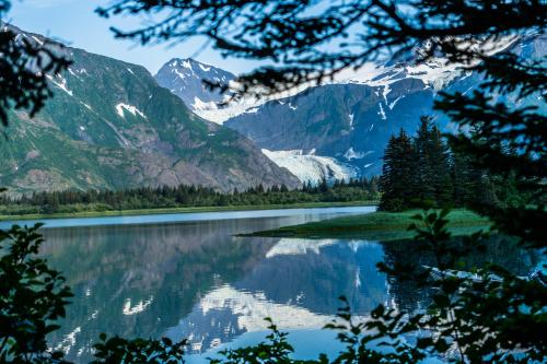 oneshotolive:  View of Pedersen Glacier at Kenai Fjords National Park, Alaska [OC] [8640 x 5760] 📷: Foffin 