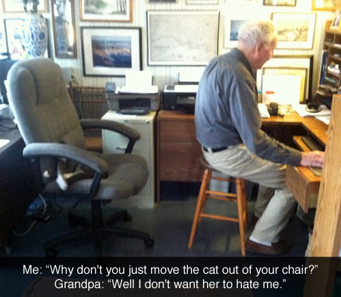 faggychan:  babysgarage:  i am convinced all cat owners are like this  MY MOM. THIS