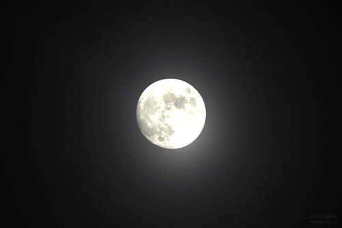 love-abia:   Hidden Shades (Gif)By Abi Ashra | Tumblr