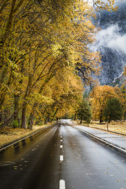 etherealvistas:  Yosemite’s Floor (USA) by Dustin Walker 