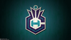 acciondeportes:  2013 Charlotte Hornets 4