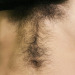 isowerewolfbf: