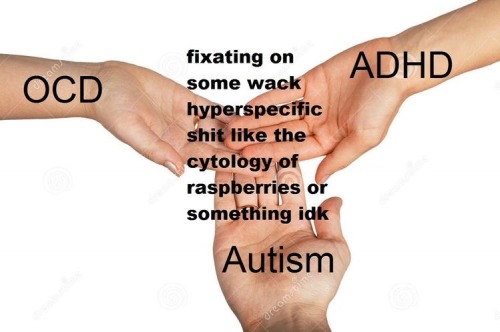 adhd tw