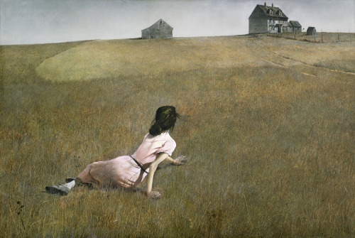 Andrew Wyeth, Christina’s World, 1948.×Londone Myers photographed by Ana Kraš for Sea NY Resort 2021