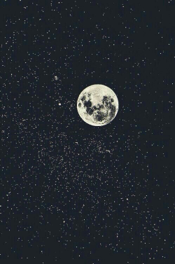 un-cielo-repleto-de-estrellas:  En mí cielo repleto de estrellas tú eras la luna.