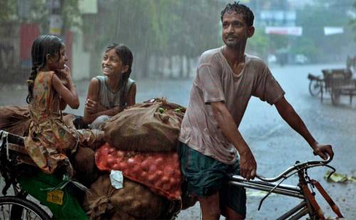 ankhisgood:  A rain-soaked rickshaw driver transports vegetables under heavy monsoon rains, in Luckn