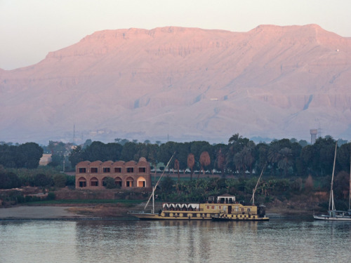 Dig Diary, January 17, 2016:We arrived in Luxor, one of the most beautiful places on earth, on Janua