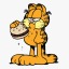 fatgarfield