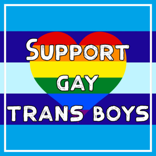 mogaicore:Support trans dudes, they deserve it[ID: Ten graphics with a variation of the trans man pr