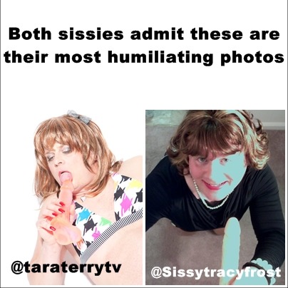 femdomfemalesupremacy: femdomfemalesupremacy:@taraterrytv @sissyweakling @Sissytracyfrost #sissy #si