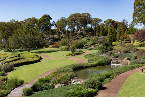myjapanesgarden2012: Japanese Gardens, Cowra, NSW by Capturing the beauty of Australia Cowra Japanes