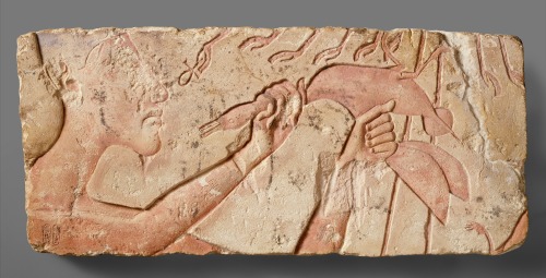 Akhenaten sacrificing a duckto the sun god AtenProbably originally from Amarna, ca. 1353–1336 B.C. (