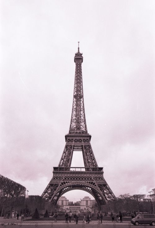 Picture: Z791