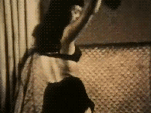 Would you strip for $15,000.00 a night?
