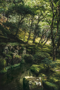 peonagabriel:Garden Of Ginkaku-ji, Kyoto,