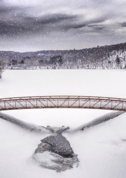 Snowy Bridge by Lee Bodson