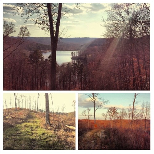 A successful adventure to the woods, even encountered a hunter oops..the cruise there was just as fun. #fall #adventure #wildlife #peaceful #naturewalk #photography #Ohio #trails