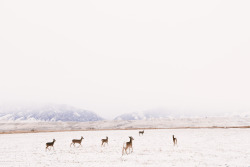 Alexstrohl:  I Had The Opportunity To Spend This Whole Winter In A Log Cabin In The