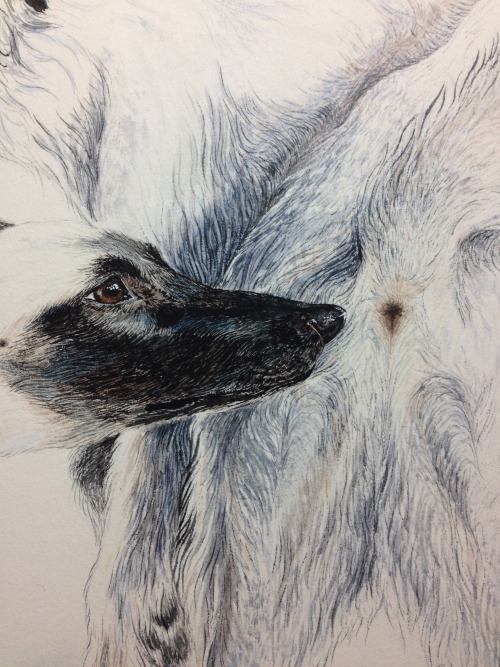 N°5 (detail) Watercolour and gauche on watercolour paper by Celene Bridge