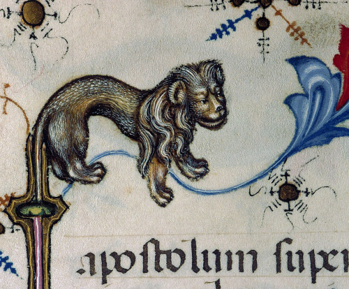 border lionBreviary of Mary of Savoy, Lombardy ca. 1430Chambéry, Bibliothèque municipale, ms. 4, fol