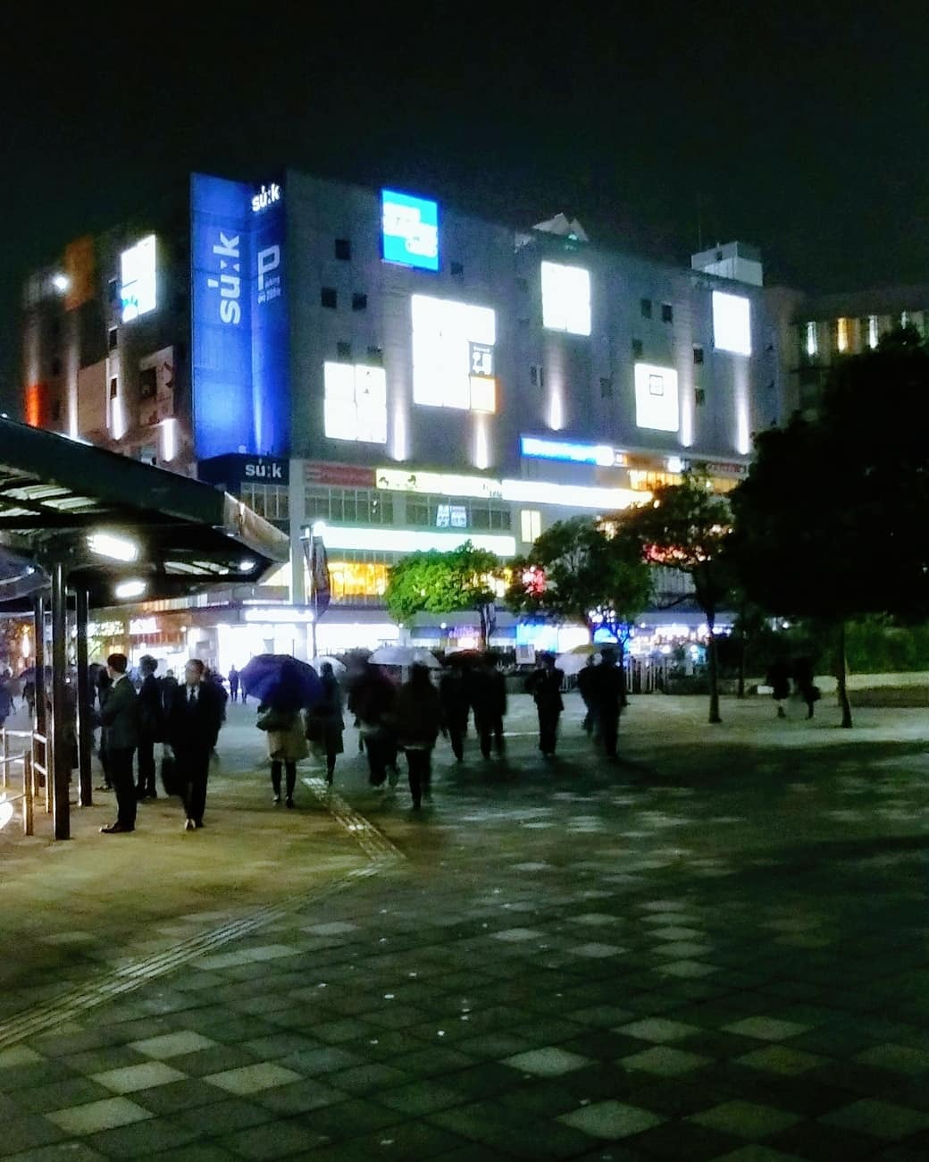 Rainy Nights in Chiba 🌧️🌴