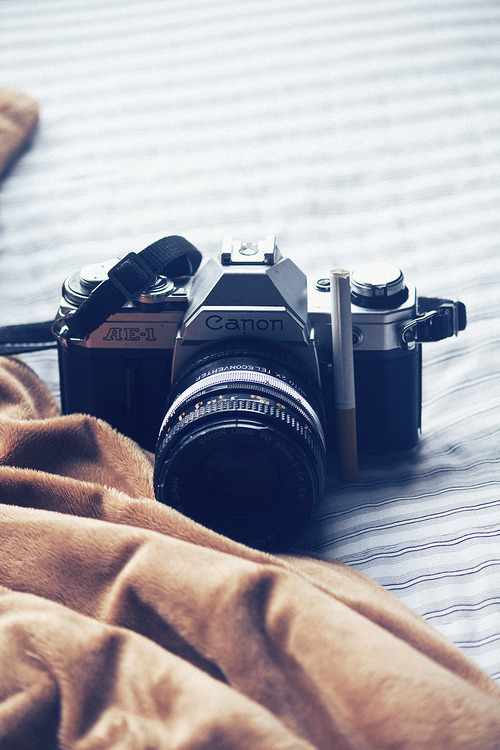 kushandwizdom:  More photography here