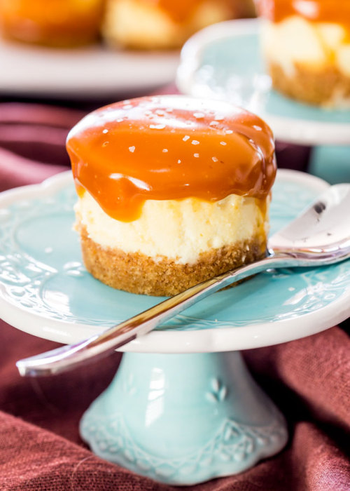 Porn photo foodffs: Mini Salted Caramel Cheesecakes