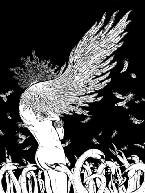 enchantedbook:  A Wild Swan and Other StoriesIllustration by Yuko Shimizu  