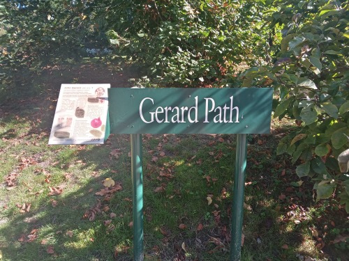 charleswaterloo:gerard way’s alternate universe self wrote “welcome to the green pa