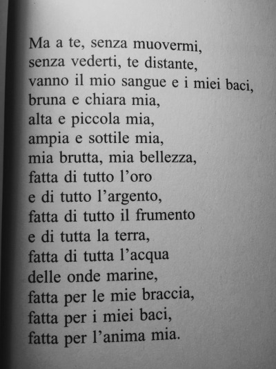 Poesie Di Natale Neruda.Poesia Di Natale Tumblr