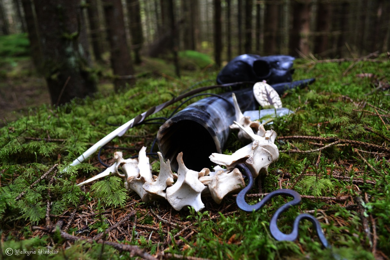 valkyriaulvdottir:  www.facebook.com/ulvdottir 