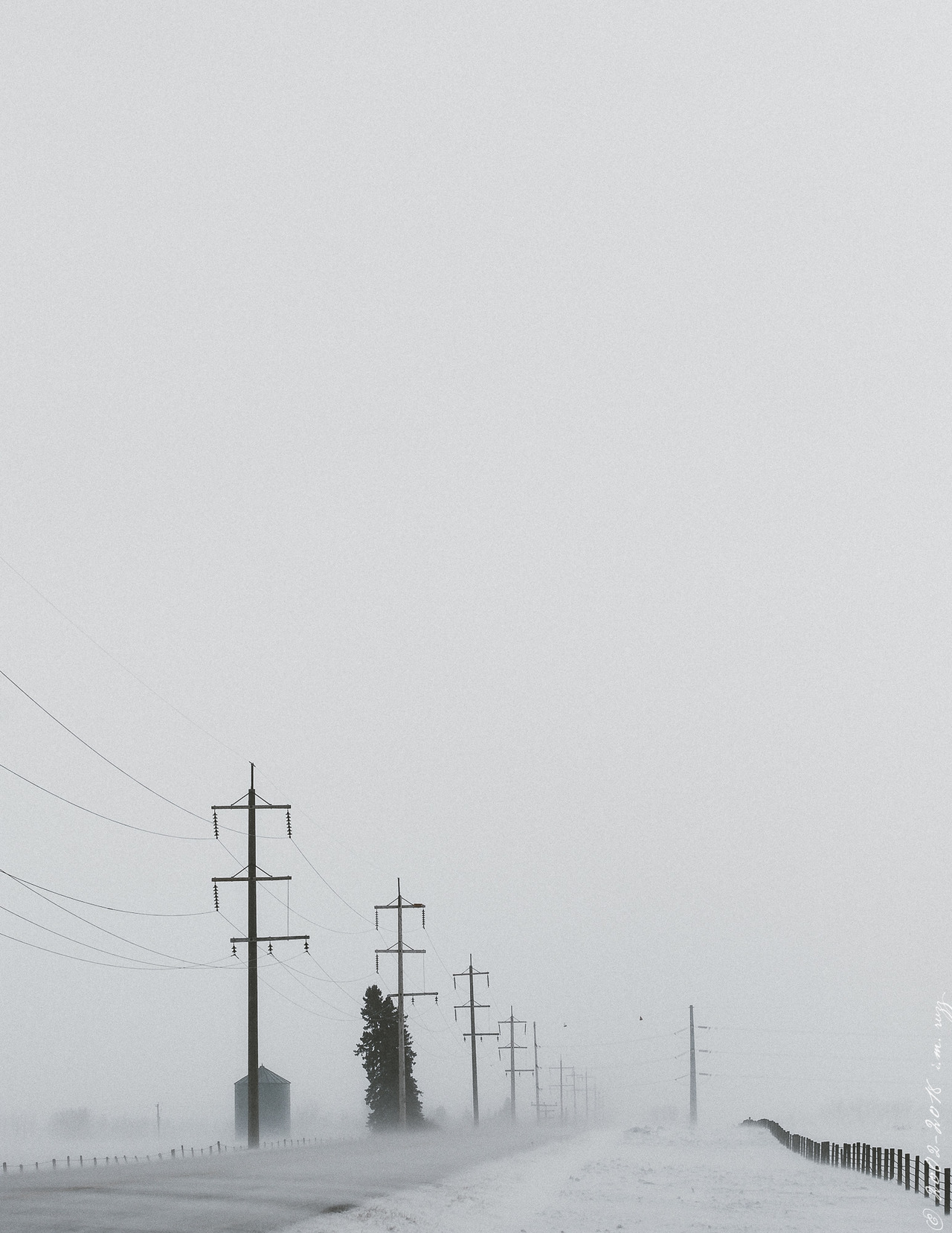 thisherelight:in case you’re not entirely sick of pictures of what we call spring.. 